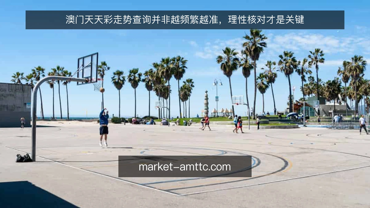 澳门天天彩走势查询并非越频繁越准，理性核对才是关键