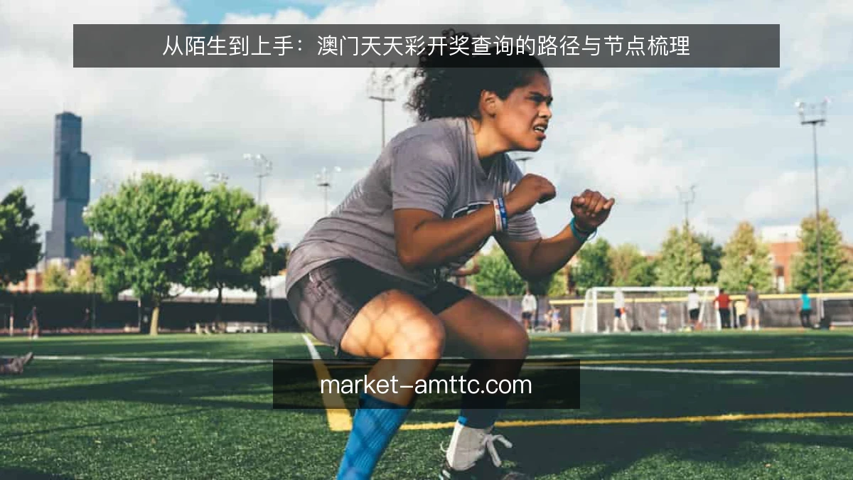 从陌生到上手：澳门天天彩开奖查询的路径与节点梳理