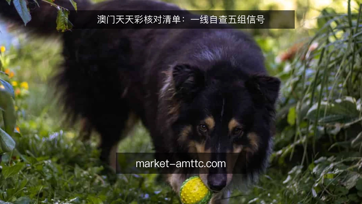 澳门天天彩核对清单:一线自查五组信号