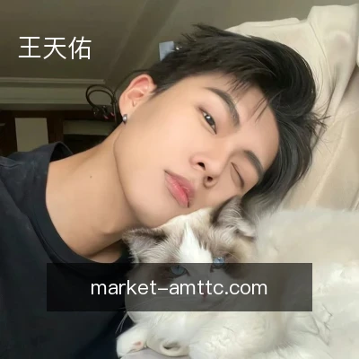 王天佑