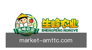 澳门天天彩