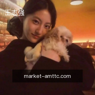 王志强